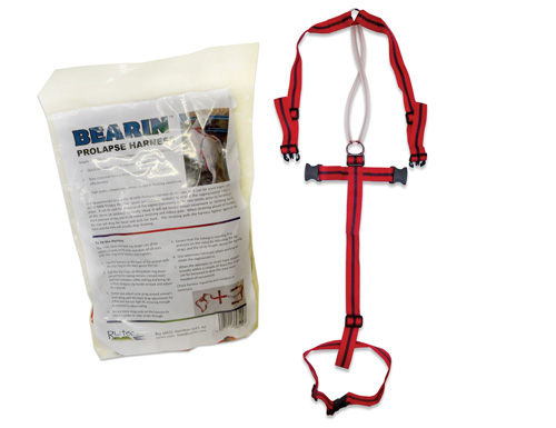 BEARIN PROLAPSE HARNESS 