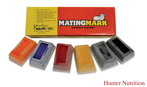  MATINGMARK CLICK IN CRAYONS