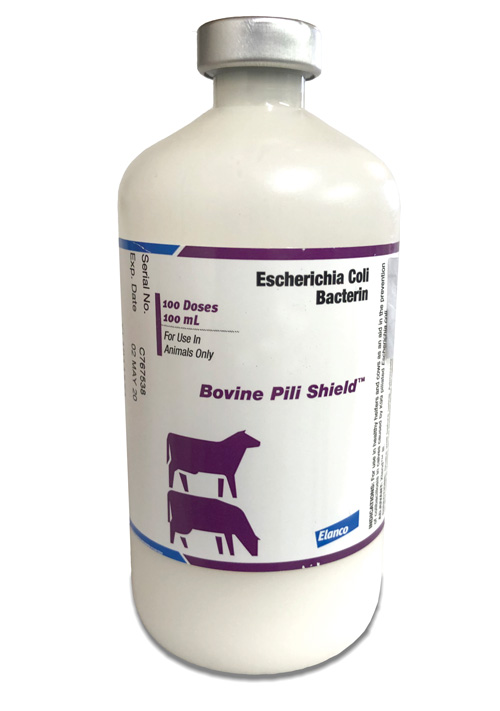 BOVINE PILI SHIELD (E. Coli Vaccine)