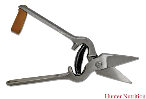 BURDIZZO TYPE HOOF TRIMMERS