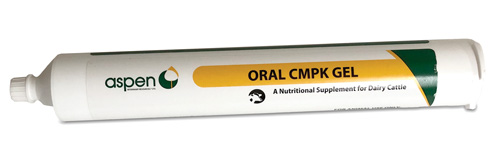 ORAL CPMK GEL 300 GM TUBE