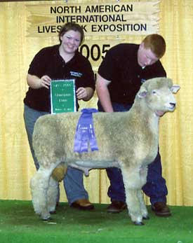 2005 NAILE winner