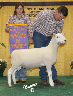 North American Livestock Exchange 2010