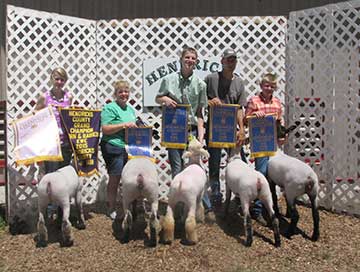 2015 Indiana State Fair 1st Place Flock & Premier Exhibitor shown by Roger Suffolks.