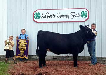 2015 Indiana State Fair 1st Place Flock & Premier Exhibitor shown by Roger Suffolks.