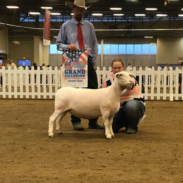 2018 All American Junior Show Winner