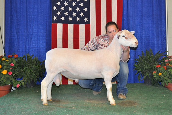 2018 All American Junior Show Winner