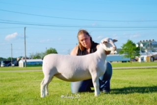 Missouri state fair 2018