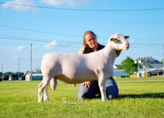 Missouri state fair 2018