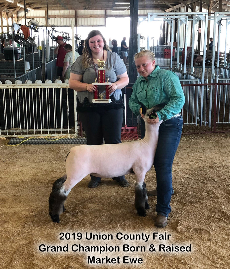 2019 County Fair