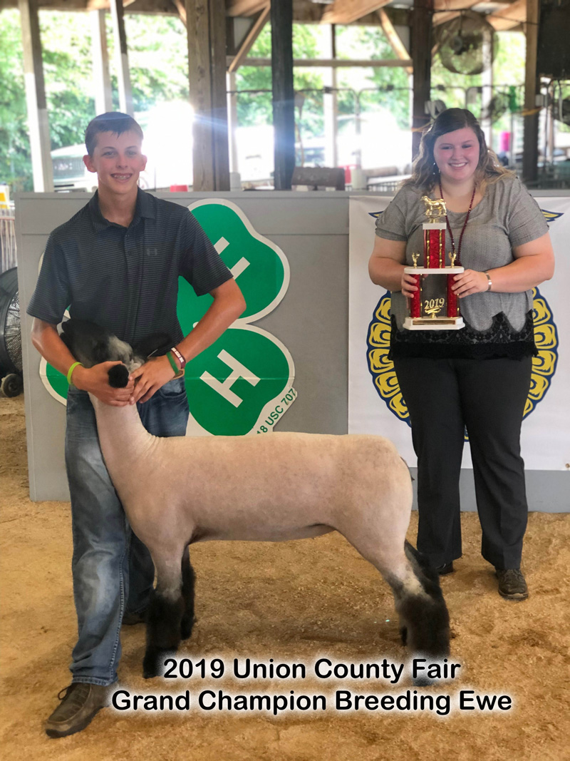 2019 County Fair