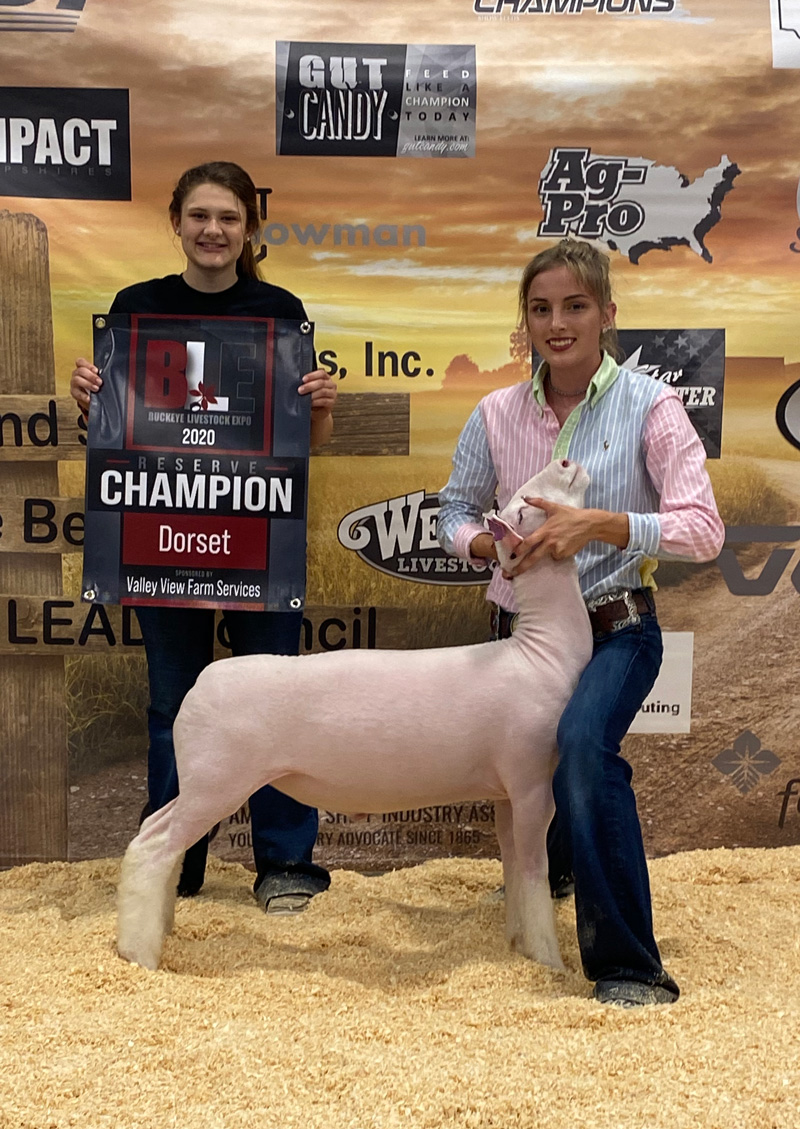 2020 Ohio Fair Winner