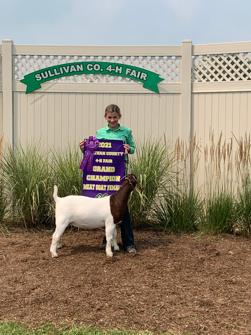 2021 Indiana County Fair