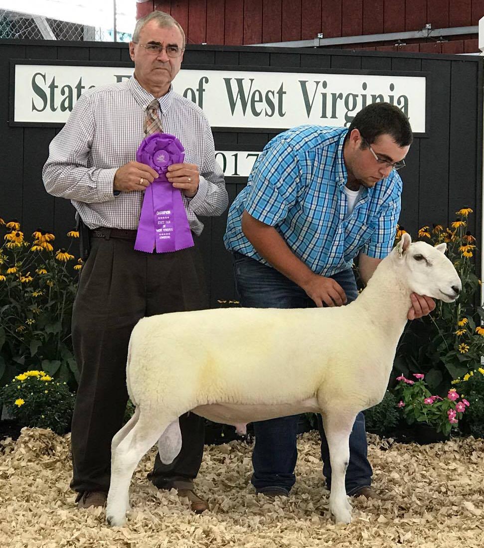 Fair Winner Image