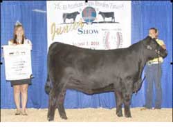 Jessica Janssen, 2010 All American Angus Breeders' Futurity Junior Show