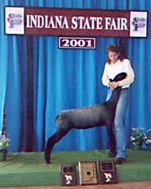 amanda 2001 indiana
