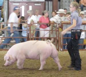 Hanna Deno, Hendricks County Fair 2010